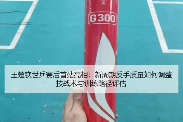 王楚钦世乒赛后首站亮相：新周期反手质量如何调整技战术与训练路径评估
