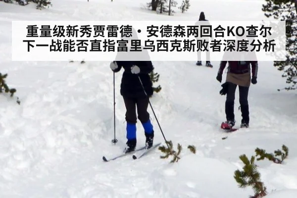 重量级新秀贾雷德·安德森两回合KO查尔 下一战能否直指富里乌西克斯败者深度分析